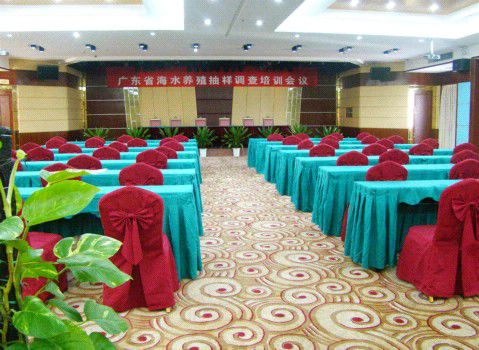 Ocean International Hotel Zhanjiang Konforlar fotoğraf
